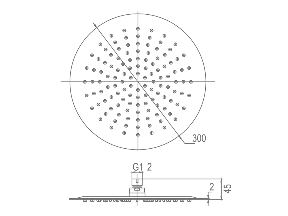 Pioneer Rain Shower and Wall Arm Brushed Stainless